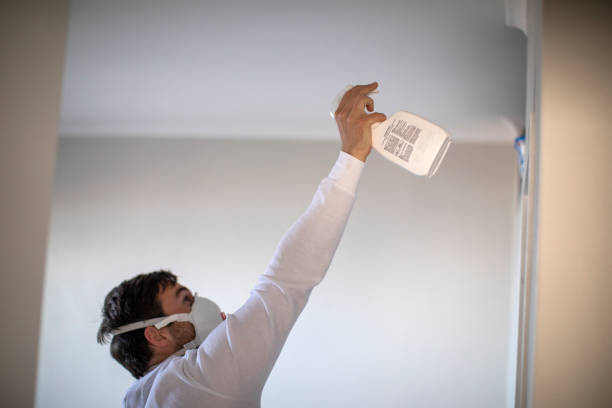 Best Fast Mold Removal  in Yorkville, WI