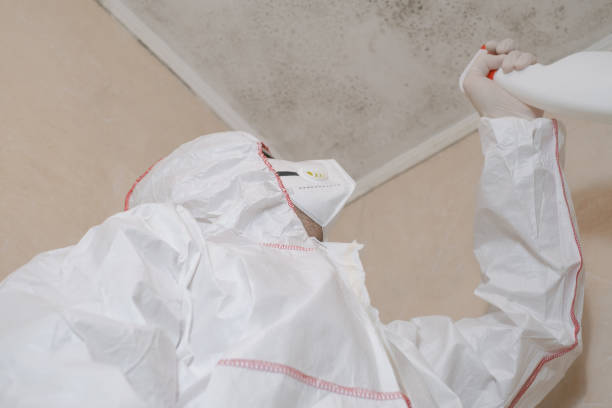 Best Crawl Space Mold Removal  in Yorkville, WI